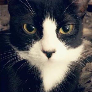 Meet your Posher, Crystal